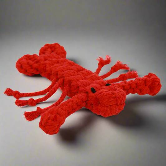 Rose the Lobster Pet Rope Toys-0
