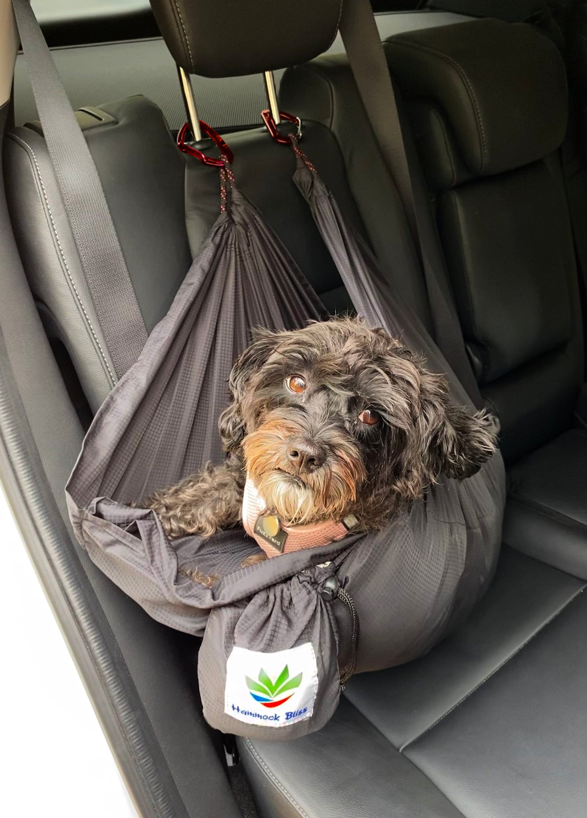 Sky Dog-3