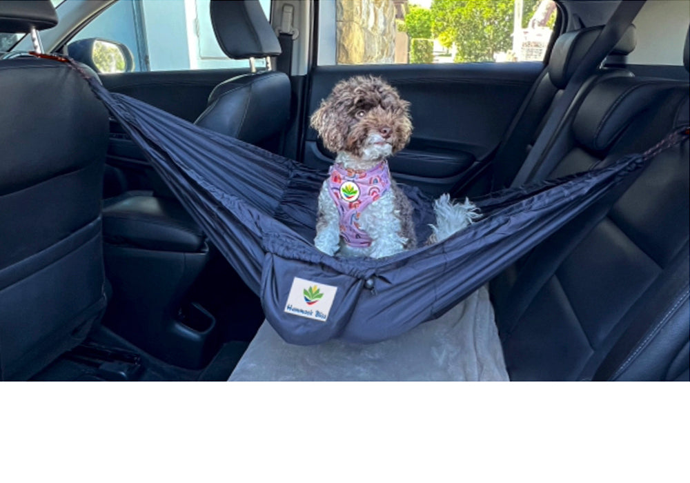 Sky Dog-0