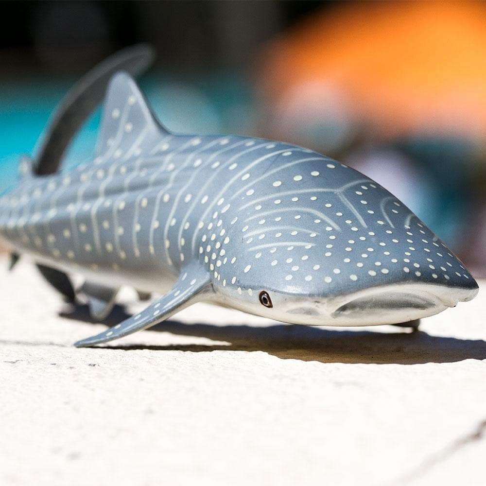 Whale Shark Toy-2