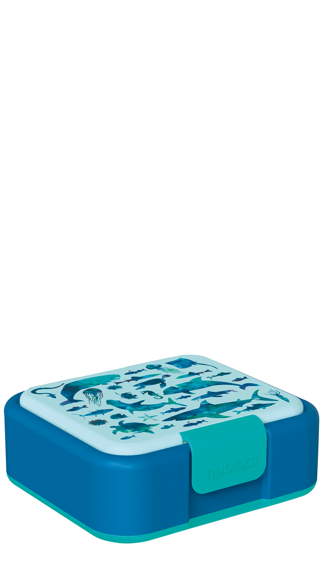 Sea Creature Bento Box & Deep Sea Explorer Water Bottle Set-4