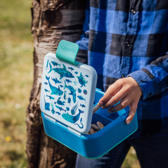 Sea Creature Bento Box & Deep Sea Explorer Water Bottle Set-1